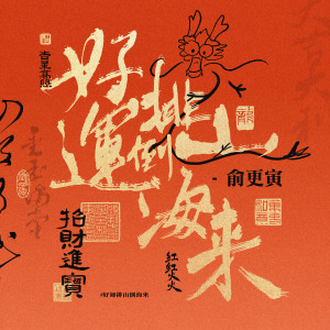 Album 好运排山倒海来 from 俞更寅