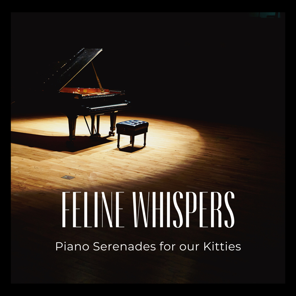 Feline's Piano Dreamland