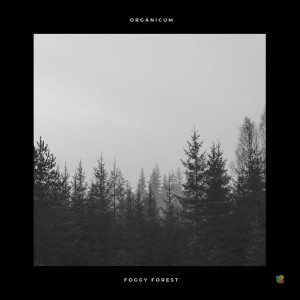 Album Foggy Forest from Organicum