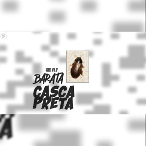 收聽The Fly的Parcoblatta歌詞歌曲