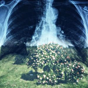 Listen to emas poios mas thelei stin gi song with lyrics from έβαν