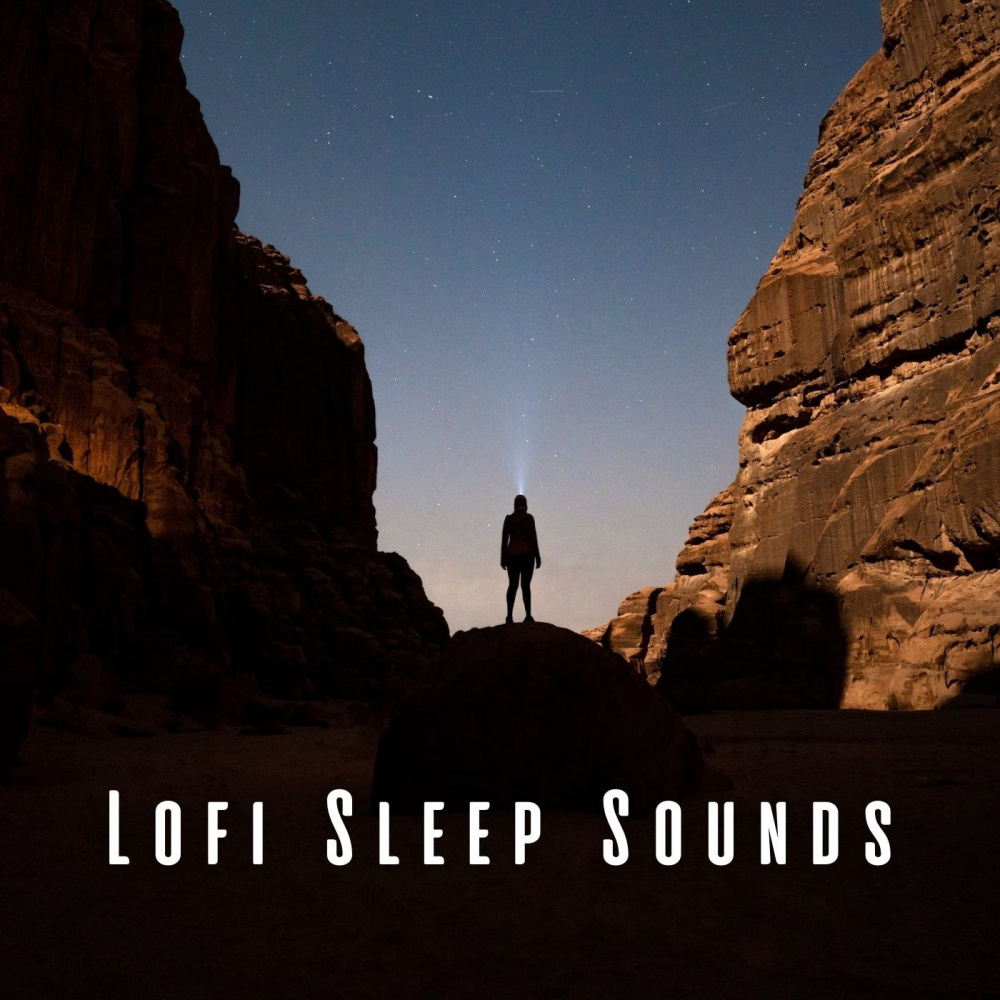 Lofi Dreamy Melodies