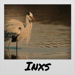 Album Inxs from Various