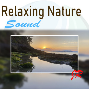 Dengarkan lagu Harmonic Flute nyanyian Zen Sounds dengan lirik