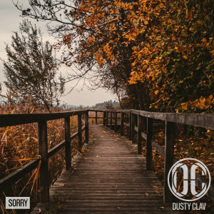 ดาวน์โหลดและฟังเพลง Sorry พร้อมเนื้อเพลงจาก Dusty Clav