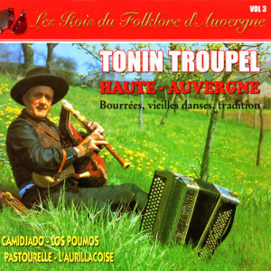ดาวน์โหลดและฟังเพลง La caille (Bourrée) [Deuxième version] พร้อมเนื้อเพลงจาก Tonin Troupel