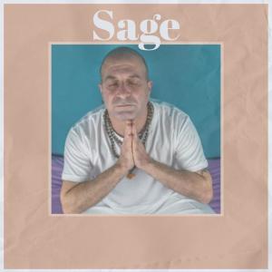 收聽Rouben Anad的Sage歌詞歌曲