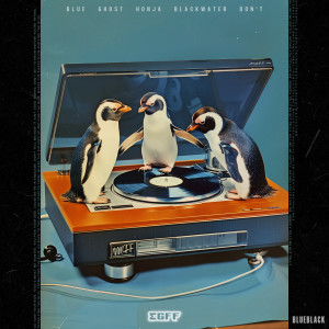 Album BLUEBLACK from 맥거핀