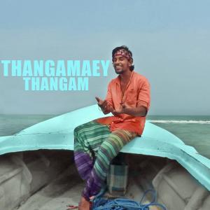 Album Thangamaey Thangam from 