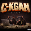 default album img