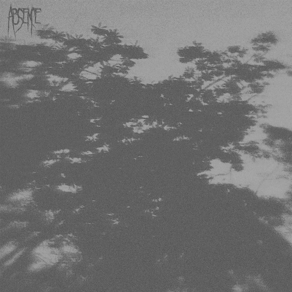 Distant Looks Into The Void