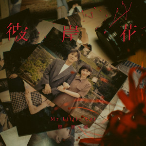 Album 彼岸花 oleh 应智越