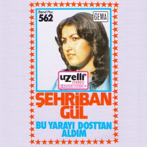 收聽Şehriban Gül的Bölemedim Felek İle歌詞歌曲