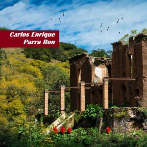 อัลบัม Dame tu luz ศิลปิน Carlos Parra Ron