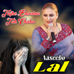 Listen to Tujhe Bhoolna Toh Chaha song with lyrics from Naseebo Lal