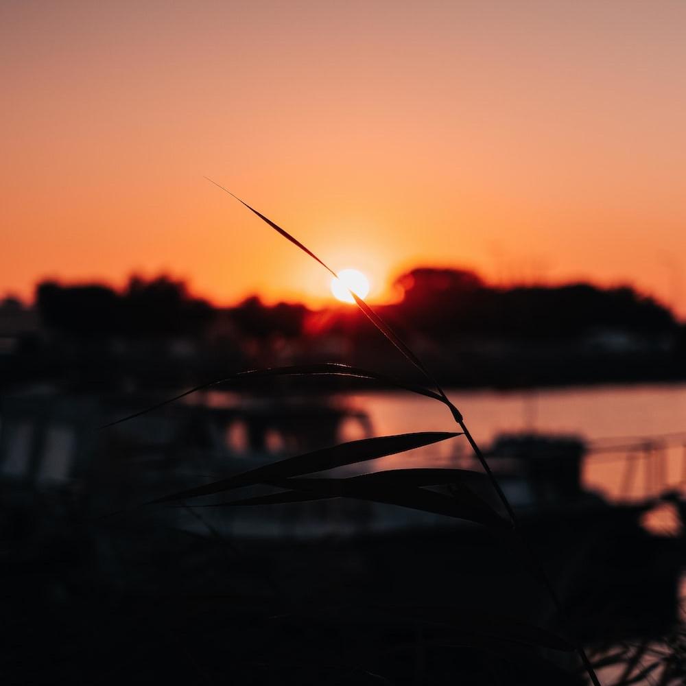 Sunsets