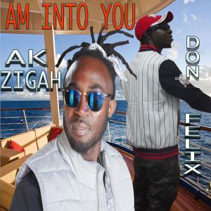 ดาวน์โหลดและฟังเพลง Am Into You (Explicit) พร้อมเนื้อเพลงจาก Don Felix