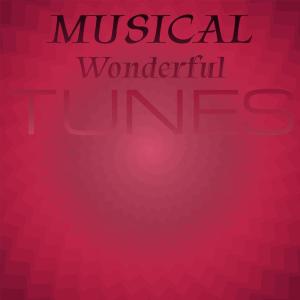 Album Musical Wonderful Tunes from Various Artists