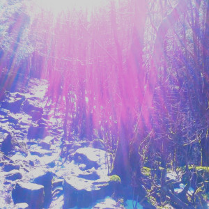 Album Funny World from Misty Coast