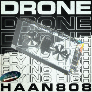 Listen to Flying High song with lyrics from Haan808