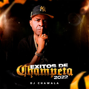Dengarkan Se Rompió El Hielo lagu dari DJ Chawala dengan lirik