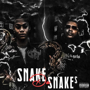 Album Snake da Snakes (Explicit) from JctSavage