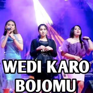 Lala Widy的专辑WEDI KARO BOJOMU (Dangdut koplo Om Pallapa)