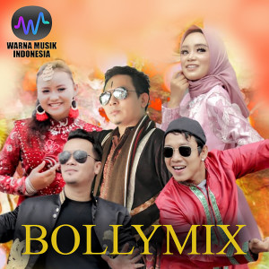 Various Artists的專輯Bollymix 7