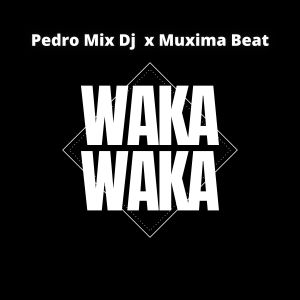 Album Waka Waka from Pedro Mix Dj