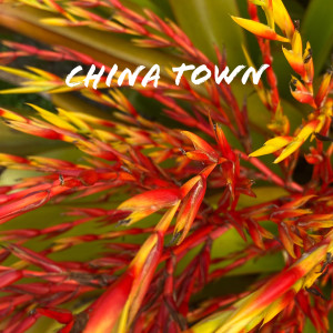 Album China Town (Explicit) from Guala