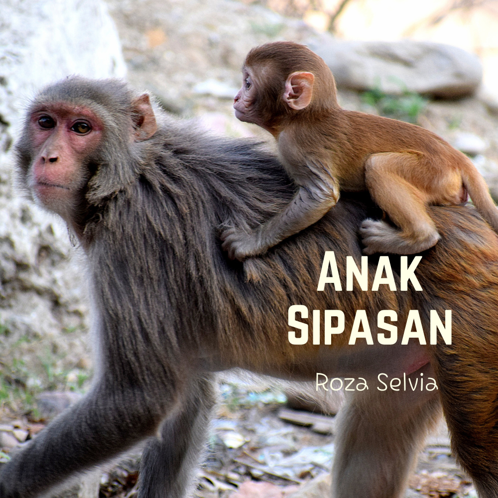 Anak Sipasan