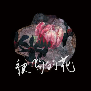 收聽Ripple的風吹的眠夢歌詞歌曲