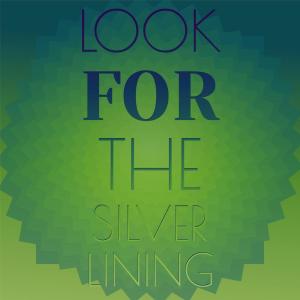 Silvia Natiello-Spiller的专辑Look For The Silver Lining