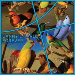 ดาวน์โหลดและฟังเพลง Forever พร้อมเนื้อเพลงจาก Danny L Harle