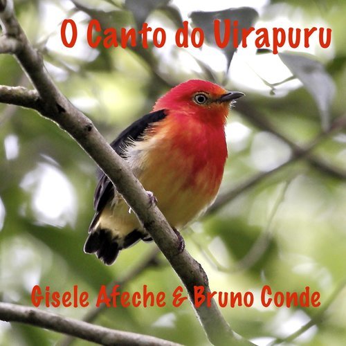 O Canto do Uirapuru