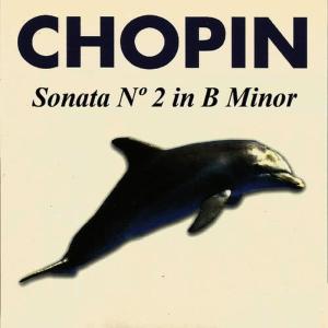 Vitalij Margulis的專輯Chopin - Sonata Nº 2 in B Minor