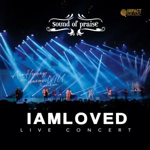 收听Sound Of Praise的Segala Perkara (Live)歌词歌曲
