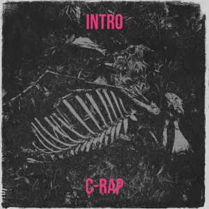 Album Intro (Explicit) from C-rap