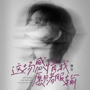 Album 这场感情我愿赌服输 from 
