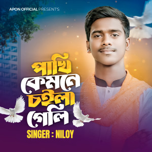 Listen to Pahki Kamne Choila Gali song with lyrics from Niloy