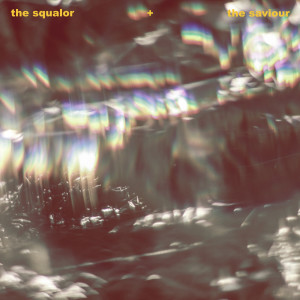 Album The Squalor and the Saviour from Josh Gauton