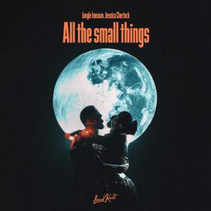 อัลบัม All the Small Things ศิลปิน Jungle Jonsson
