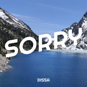 Album Sorry from Dissa