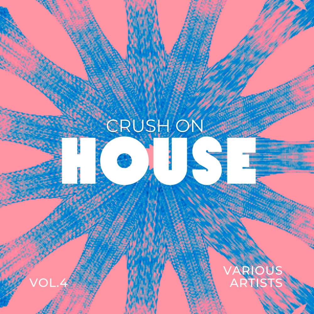 Crush On House, Vol. 4 (Explicit)