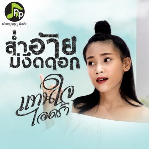 เพลง พระจันทร์ แทน ใจ คาราโอเกะ