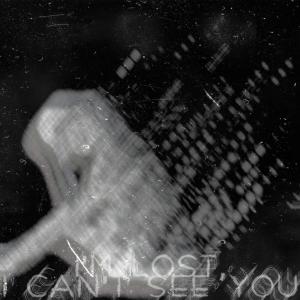 Album I'm Lost, I Can't See You from Zynthesia