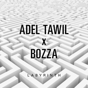 Adel Tawil的專輯Labyrinth