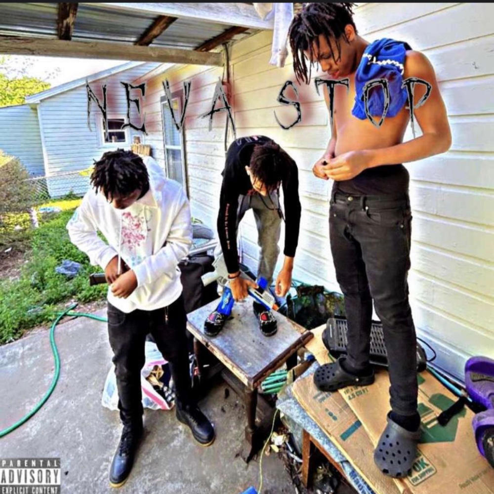 Panthers (feat. Sno.x) (Explicit)