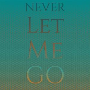 Silvia Natiello-Spiller的專輯Never Let Me Go
