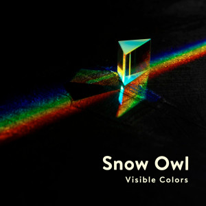 Snow Owl的專輯Visible Colors